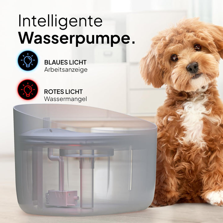 Pretty PAW® Trinkbrunnen für Hunde I Super leiser Hunde Trinkbrunnen mit 7 Liter Wassertank I BPA-fr