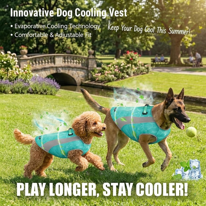 Hundekühlweste mit Geschirr, Outdoor-Welpenkühljacke mit verstellbarem Reissverschluss, reflektieren