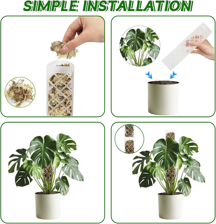 Moosstab für Monstera Rankhilfe Zimmerpflanzen Rankhilfe Monstera Pflanzstab Rankstäbe Plastik Mit P