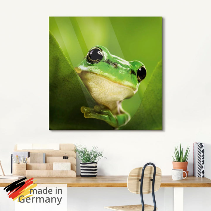 ARTland Glasbilder Wandbild Glas Bild einteilig 60x30 cm Querformat Natur Tiere Frosch Gesicht Laubf