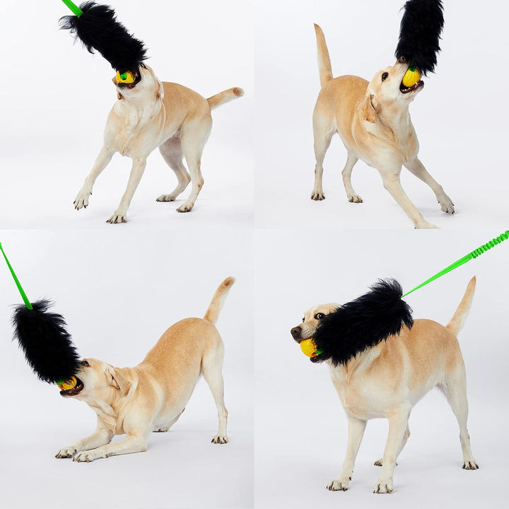 HOWGO Bungee-Chaser-Spielzeug für Hunde, 100% Schaffell, Bungee-Chaser-Spielzeug, Seil-Fogy, Zerrspi