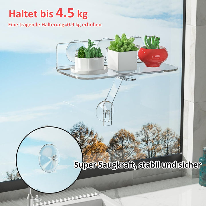 Hexsonhoma Clear Acryl Fenster Regal für Pflanzen, Fensterbank Pflanzenregal mit starker Cup Saugung