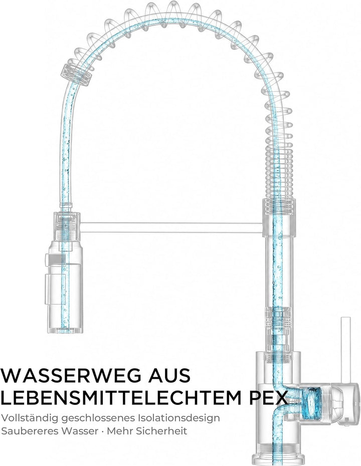 FORIOUS Wasserhahn Küche, Ausziehbare Küchenarmatur, Einhebel-Mischbatterie Küche mit 3 Strahlfunkti