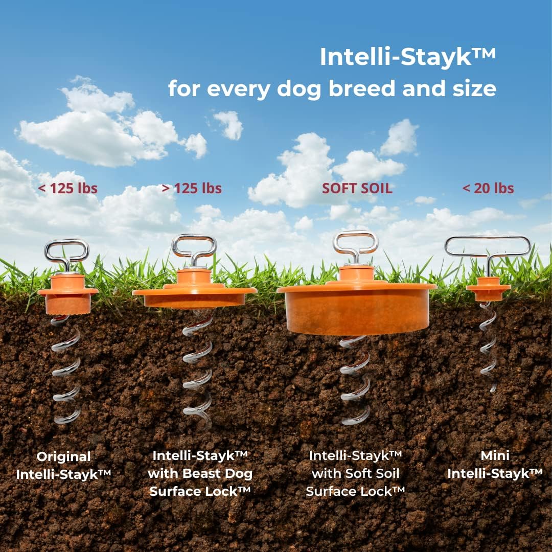 Intellileash Hundeleine Intelli-Stayk, Intelli-Stayk