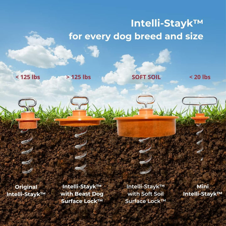 Intellileash Hundeleine Intelli-Stayk, Intelli-Stayk