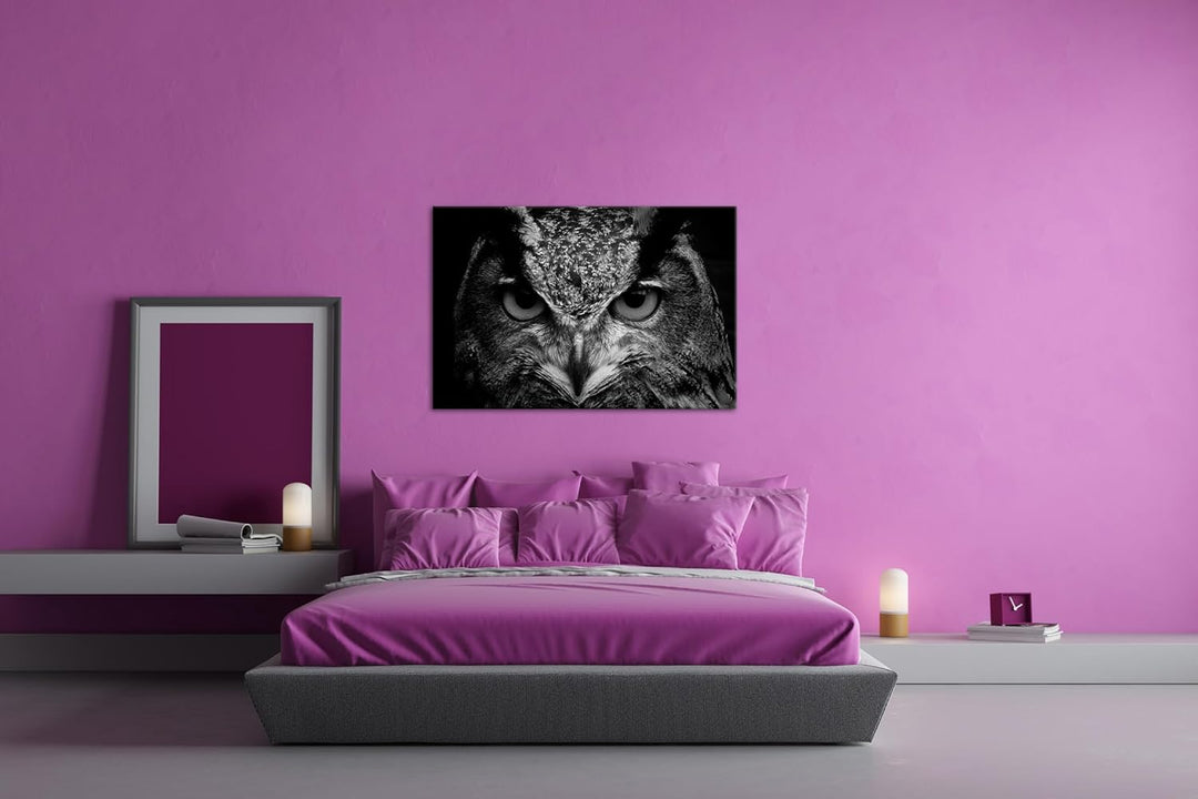 deyoli lauernde Augen einer Eule Format:90x60 cm Effekt: Schwarz/Weiss als Leinwandbild, Motiv ferti