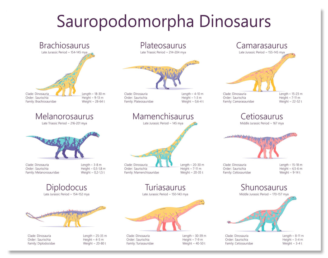 wandmotiv24 Leinwandbild Tiere, Dinosaurier, Querformat M0690 40L x 30B cm Leinwandbild Tiere, Dinos