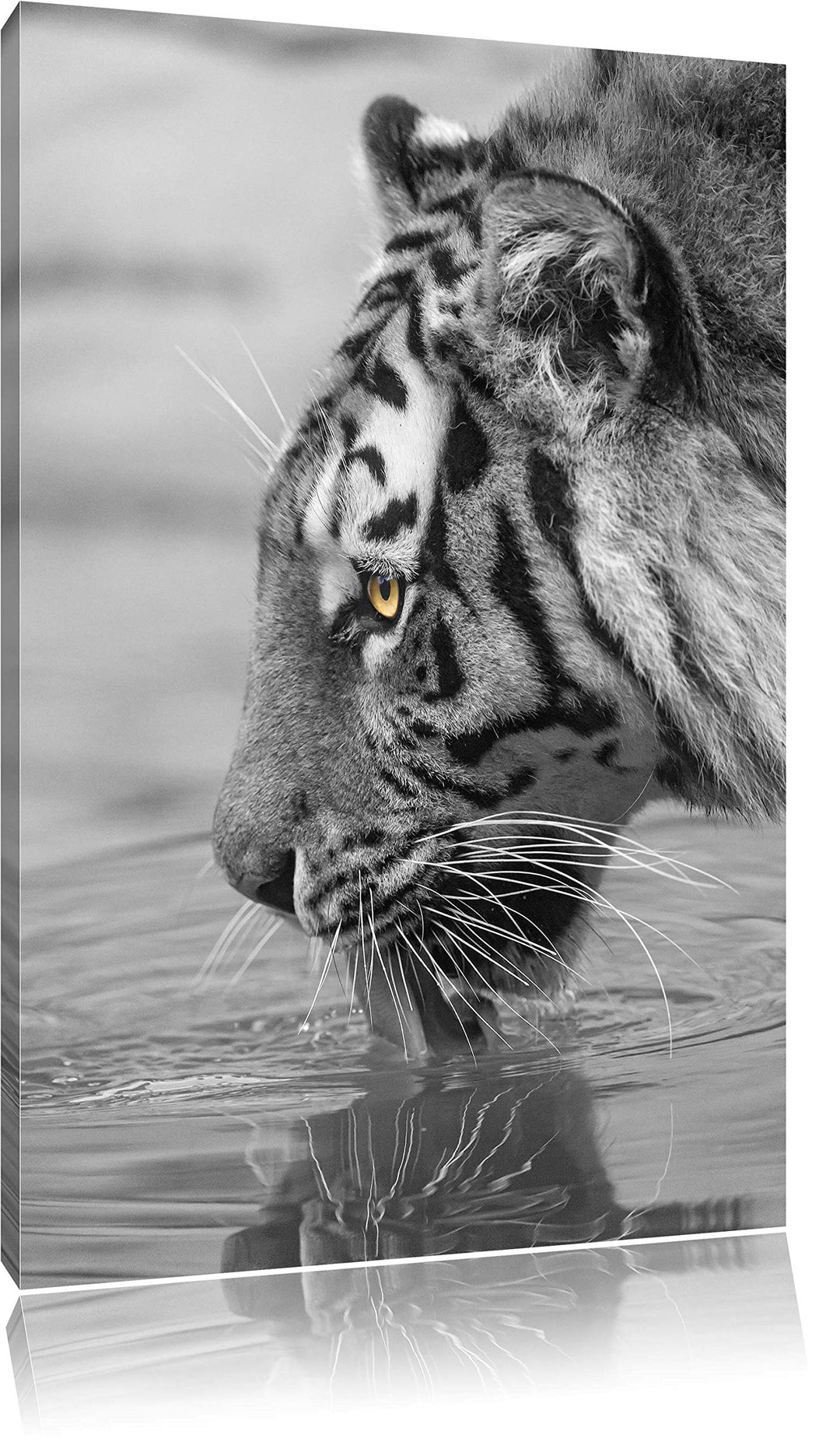 maiestätischer Tiger am Wasserloch schwarz/weiss auf Leinwand, XXL riesige Bilder fertig gerahmt mit