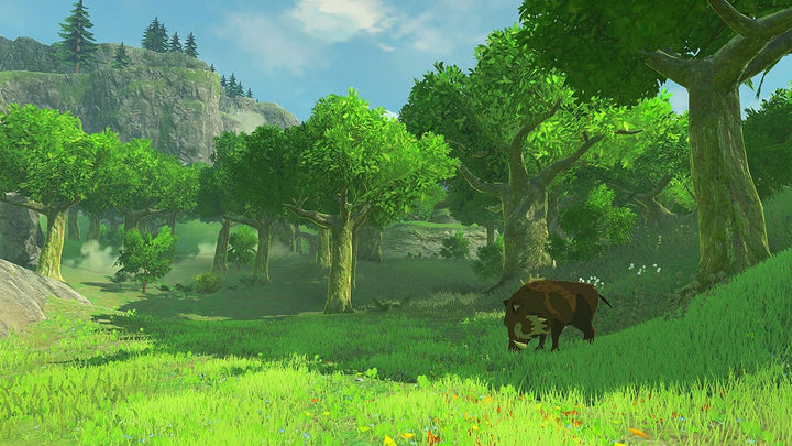 NINTENDO Legend of Zelda: Breath of The Wild