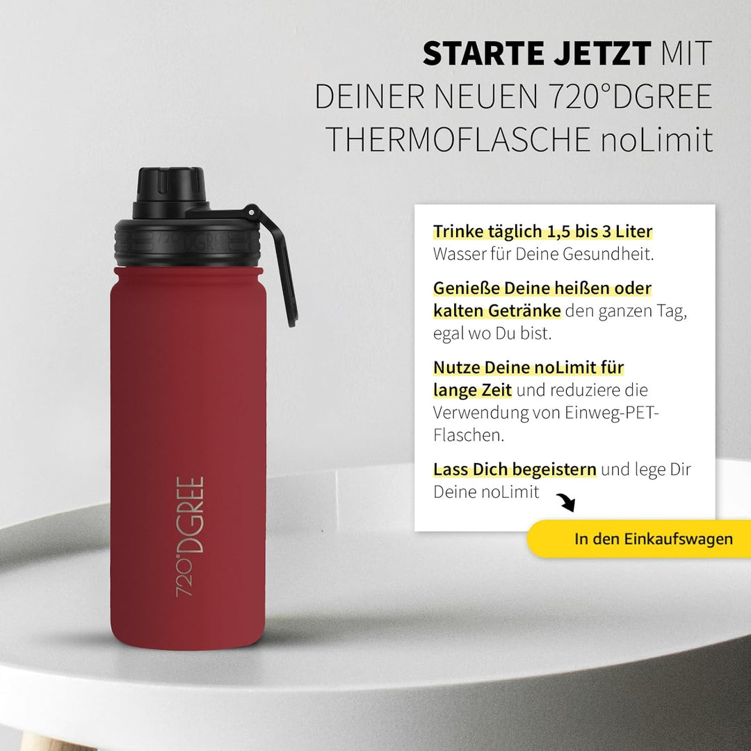 720°DGREE Edelstahl Thermo Trinkflasche 530ml “noLimit” +Früchtebehälter - Auslaufsicher, Kohlensäur