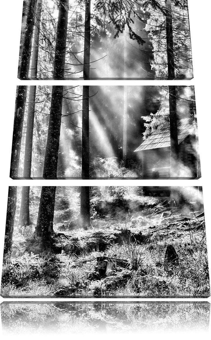 Pixxprint Sonnenstrahlen im Wald als Leinwandbild/Grösse: 3 Teilig (120x80) cm/Wandbild/Kunstdruck/f
