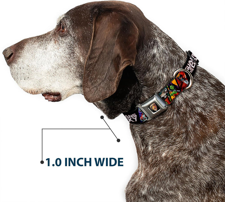 Buckle-Down dc-wmc083-l Sicherheitsgurt Hund Halsband 1" Wide - Fits 9-15" Neck - Small GUARDIANS OF