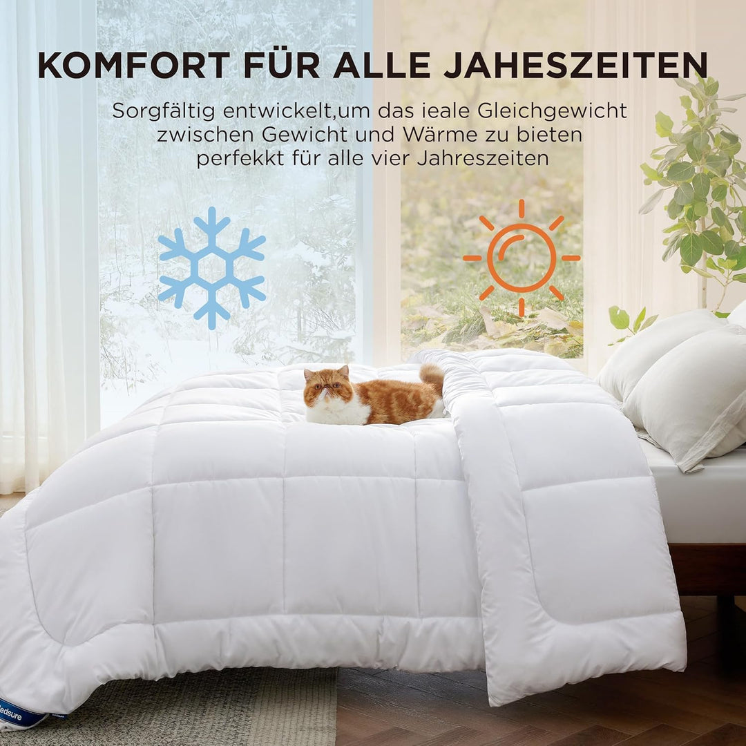 BEDSURE Bettdecke 155x220 Ganzjahresdecke 4 Jahreszeiten, Steppdecke für Allergiker 300GSM Duvet 155