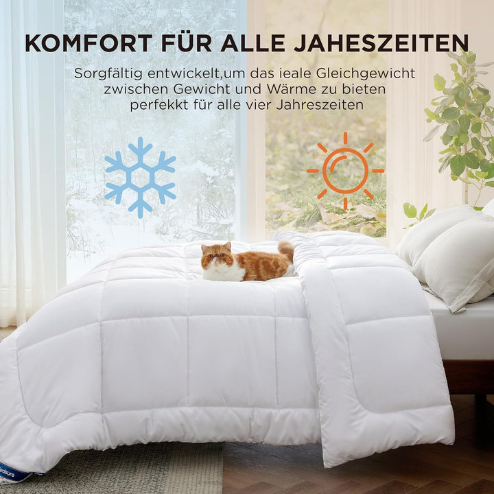 BEDSURE Bettdecke 155x220 Ganzjahresdecke 4 Jahreszeiten, Steppdecke für Allergiker 300GSM Duvet 155