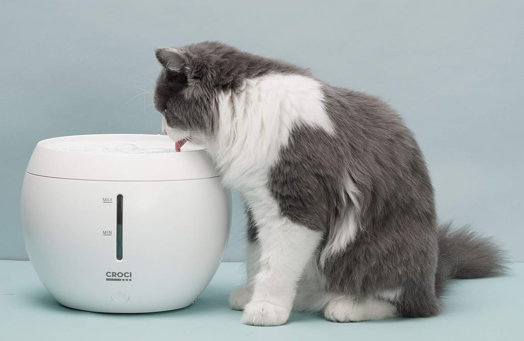 Croci Aqua-Brunnen für Katzen und Hunde, TDS-Wasserqualitätsanzeige, doppeltes Filtersystem, Wassers