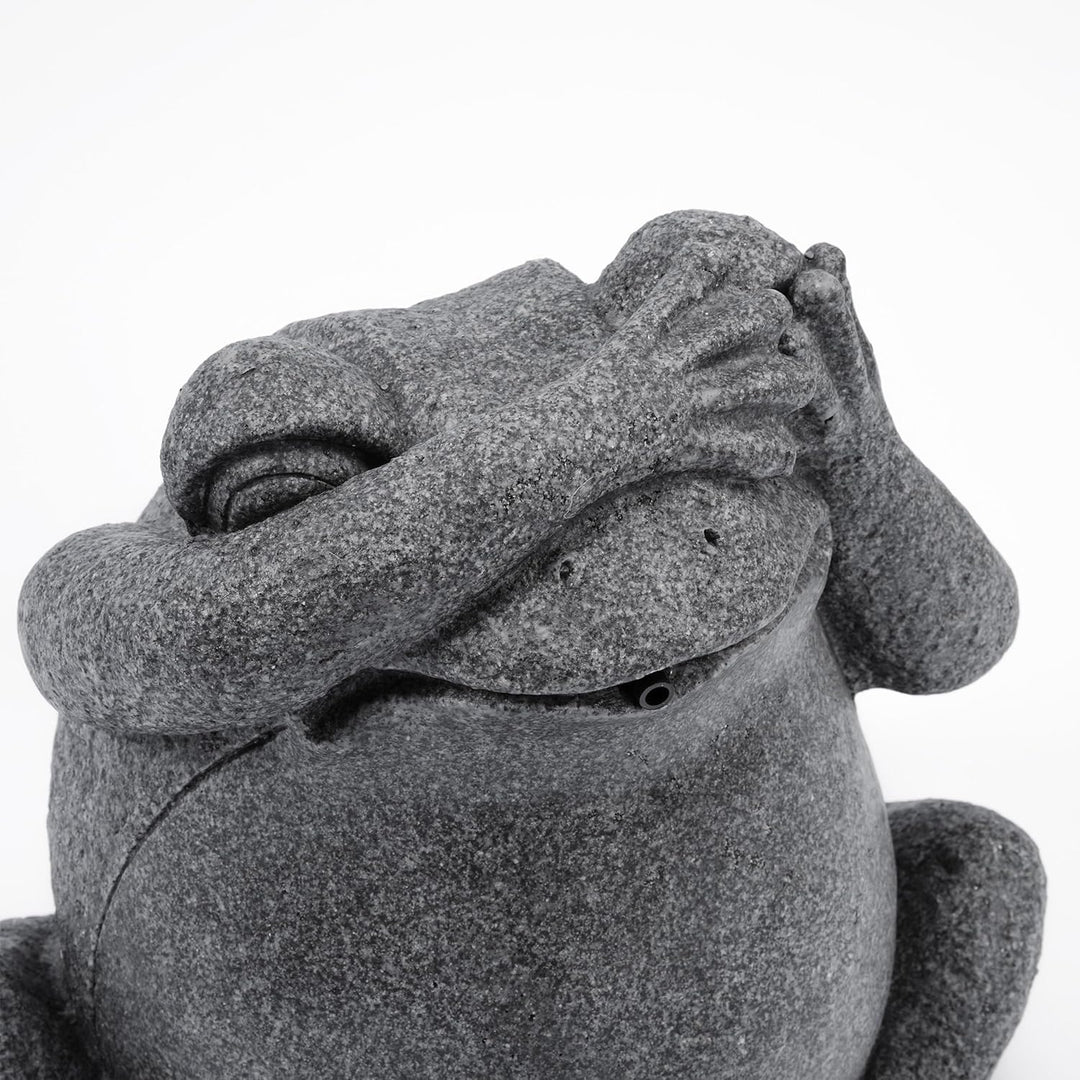 Esotec Wasserspeier-Figur Frosch sitzend EINZELFIGUR | Teichfigur Gartenstatue Gartenfigur Springbru