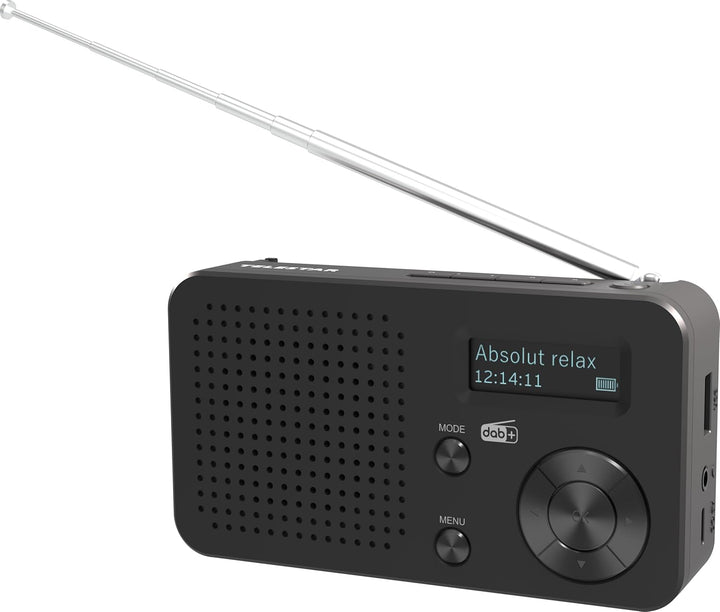 TELESTAR TOP 100 – Mobiles DAB+/UKW Radio (austauschbarer Akku, bis zu 15 Std. Spielzeit, kurzes Lad