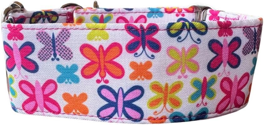 Galguita Amelie, 4 cm breit, Grösse L (40-49 cm), Hundehalsband gegen Auslaufen. Schmetterlinge 4cm