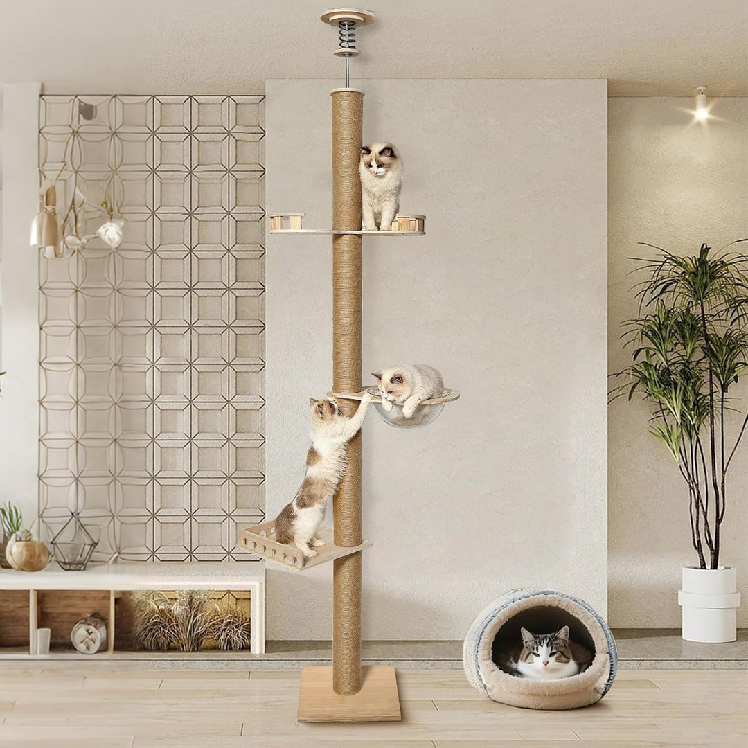 Kratzbaum Deckenhoch 255–265 cm, Verstellbar mit Sisal &amp; Kapsel | 40 x 40 cm Bodenplatte, Kiefernhol