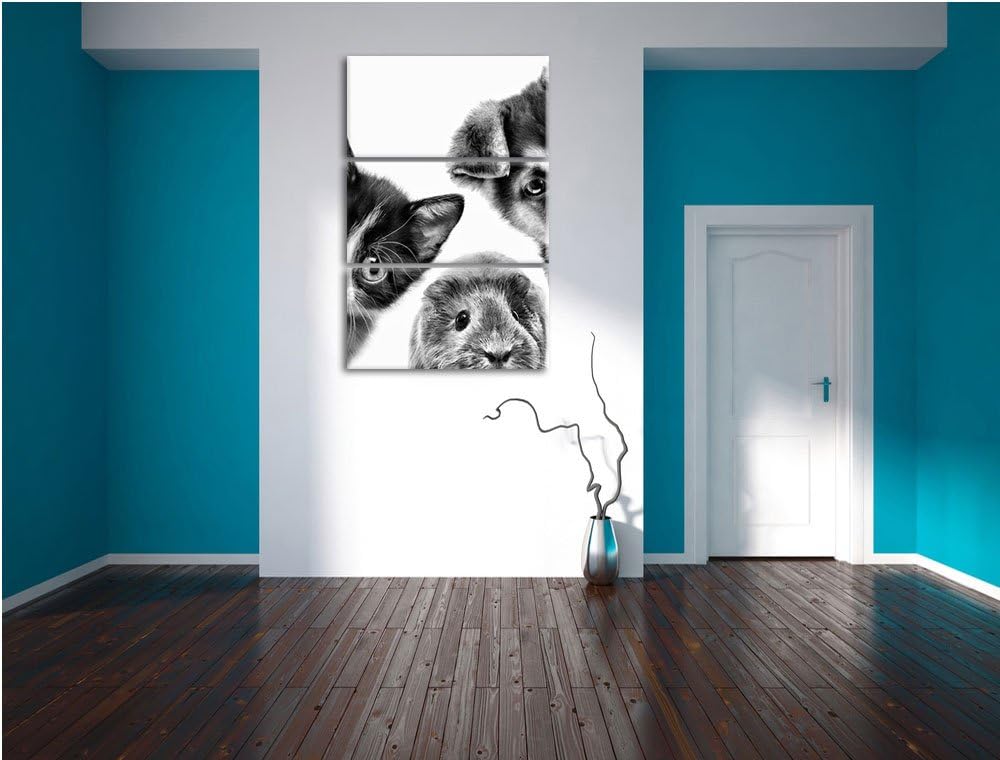 Pixxprint Trio Hund Katze Meerschwein als Leinwandbild/Grösse: 3 Teilig (120x80 cm) cm/Wandbild/Kuns