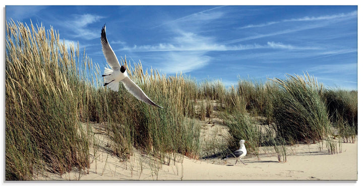 ARTland Wanddeko Glasbilder Wandbild Glas Bild einteilig 60 x 30 cm Düne Nordsee Gras Möwe Sommer Me