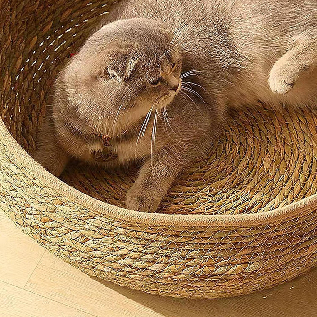 Geflochtenes Katzenbett | Geflochtener Katzenkorb Mit Kissen Und Polster,Bequeme Und Gemütliche Ents