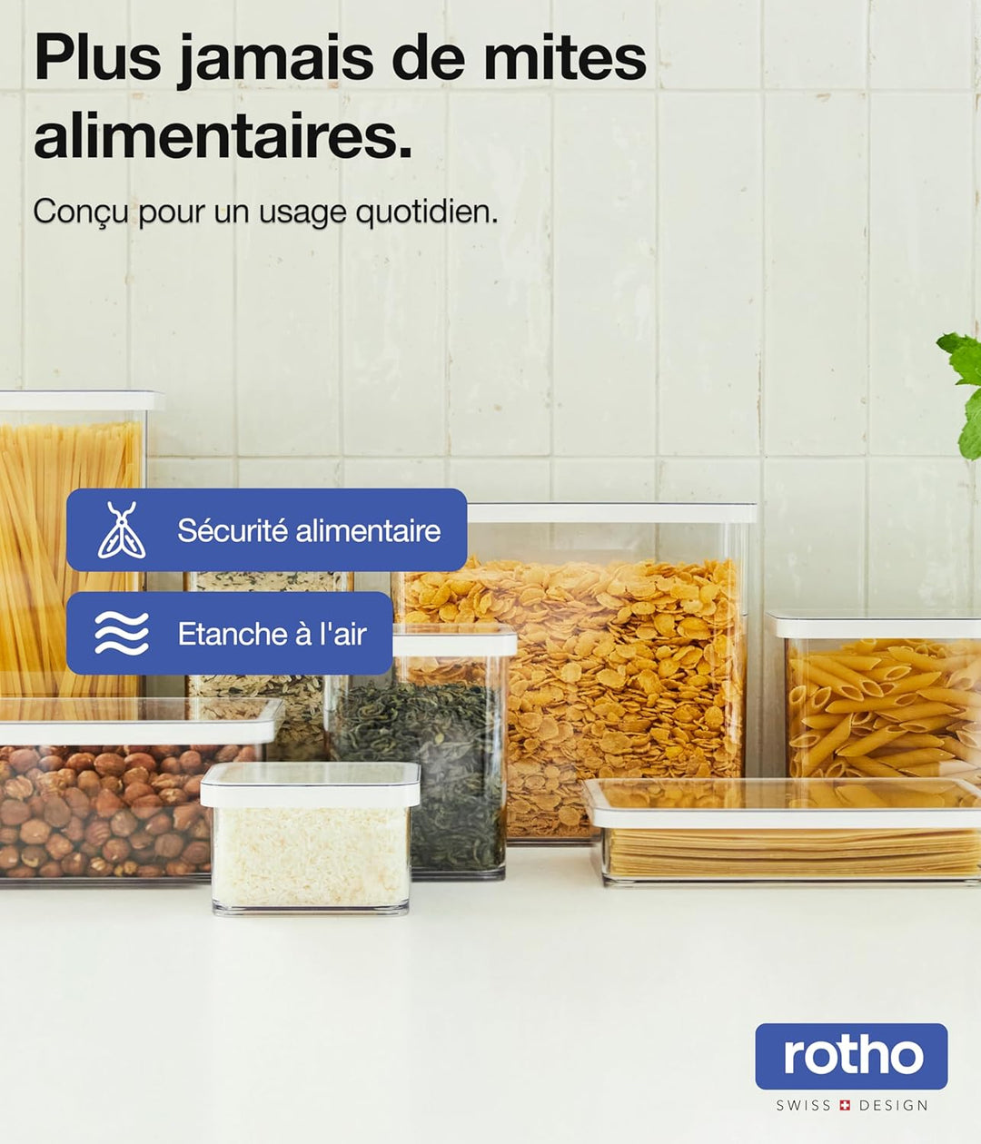 Rotho Loft 3er-Set Vorratsdosen verschiedene Grössen, lebensmittelechter Kunststoff (PP) BPA-frei, t