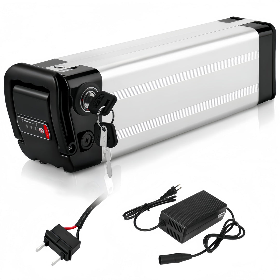 X-go Ebike Batterie, Elektrofahrrad Batterie E-Bike Lithium Batterie Silber Fisch mit Ladegerät, Led