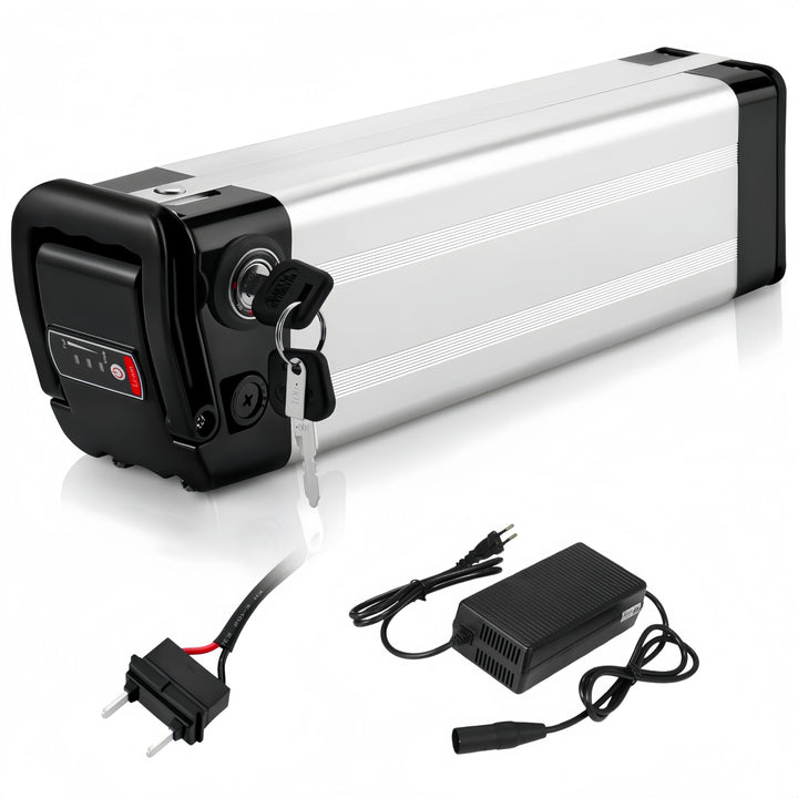 X-go Ebike Batterie, Elektrofahrrad Batterie E-Bike Lithium Batterie Silber Fisch mit Ladegerät, Led