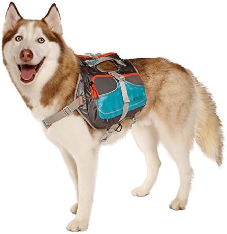 Cesar Millan Hunde-Rucksack (klein), S