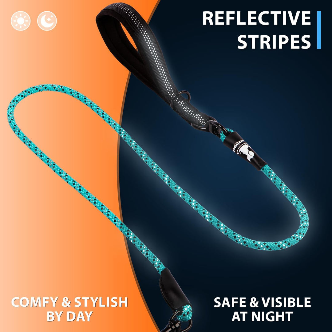 SparklyPets Doppelleine für 2 kleine Hunde – verhedderungsfreies Seil, Bungee-Doppelleine für Zwei k