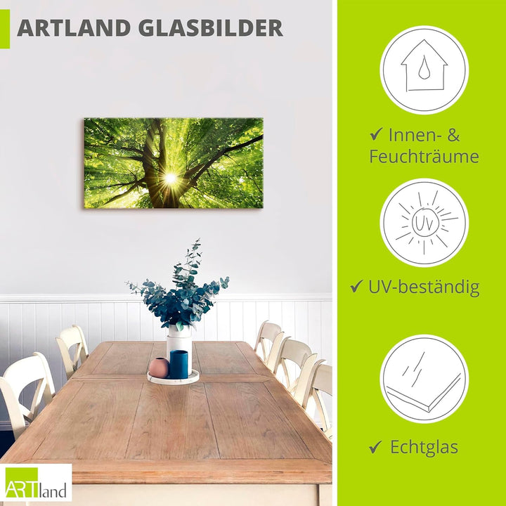 Glasbilder Wandbild Glas Bild einteilig 60x30 cm Querformat Wald Natur Botanik Bäume Laubbaum Sonne