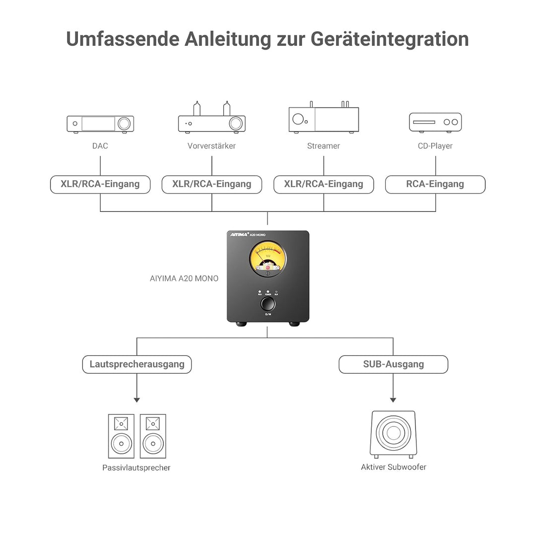 AIYIMA A20 Mono Vollsymmetrischer 300W TPA3255 Klasse D Verstärker mit HFP | HiFi Desktop Verstärker