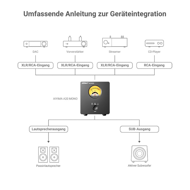 AIYIMA A20 Mono Vollsymmetrischer 300W TPA3255 Klasse D Verstärker mit HFP | HiFi Desktop Verstärker