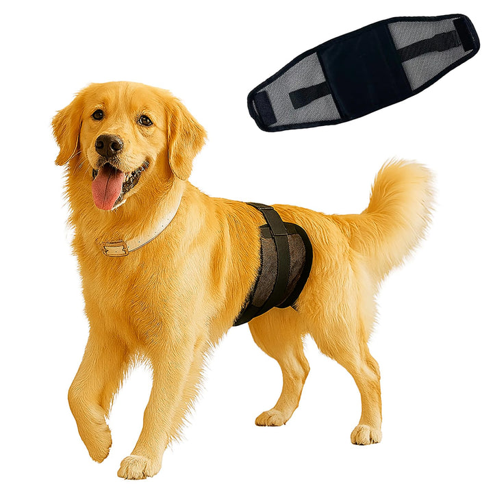 3PC Rüdenwindeln – Wiederverwendbare & waschbare Bauchbänder für Hunde, atmungsaktives Air-Mesh-Gewe