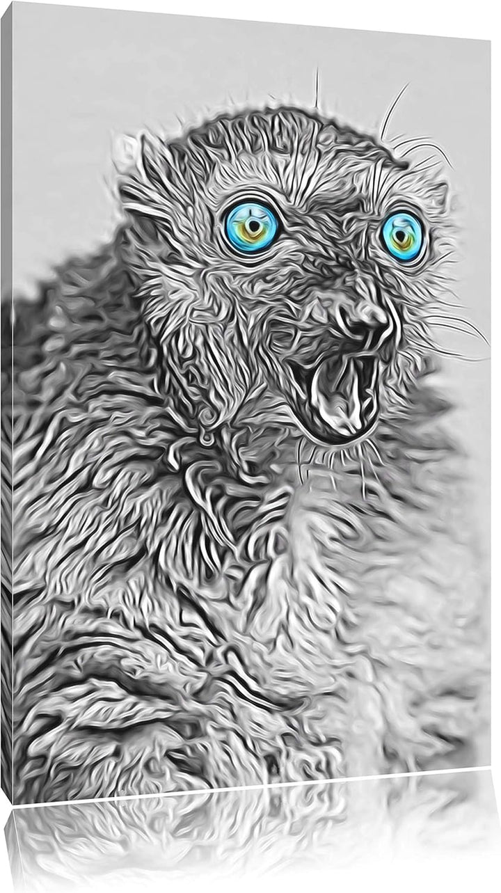 aufmerksamer seltener Blauaugenmaki schwarz/weiss Deluxe Format: 100x70 cm auf Leinwand, XXL riesige