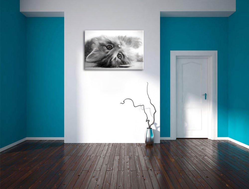 Pixxprint Süsses Katzenbaby als Leinwandbild/Grösse: 100x70 / Wandbild/Kunstdruck/fertig bespannt, 1