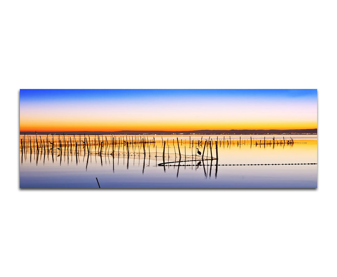 Paul Sinus Art Panoramabild auf Leinwand und Keilrahmen 150x50cm Meer Schilf Küste Morgendämmerung