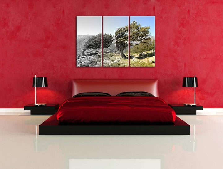 Alter Schiefer Baum in den Bergen schwarz/weiss 3-Teiler Leinwandbild 120x80 Bild auf Leinwand, XXL