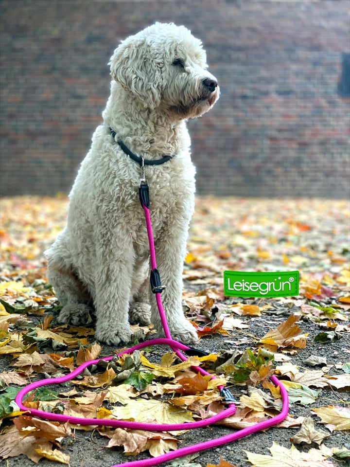 Leisegrün Hundeleine Derby | 2m Länge, Robustes Nylon, Flexibel verstellbar für mittelgrosse bis gro