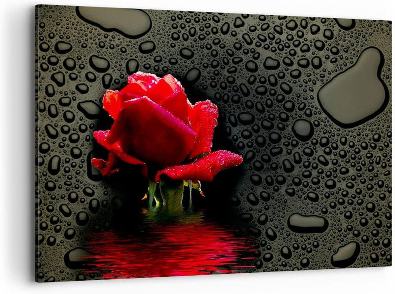 Bilder auf Leinwand 100x70cm Leinwandbild Blume rote rose wasser tau Gross Wanddeko Bild Schlafzimme