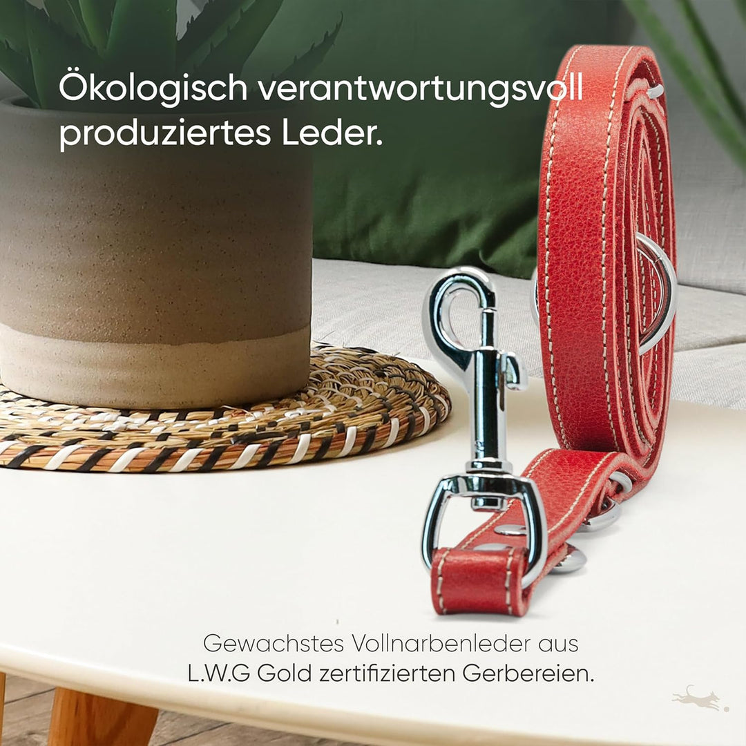 FREUDENTIER® Hundeleine Leder in Spicy Red, verstellbare Führleine, robust &amp; stilvoll, Amstelpark Ko