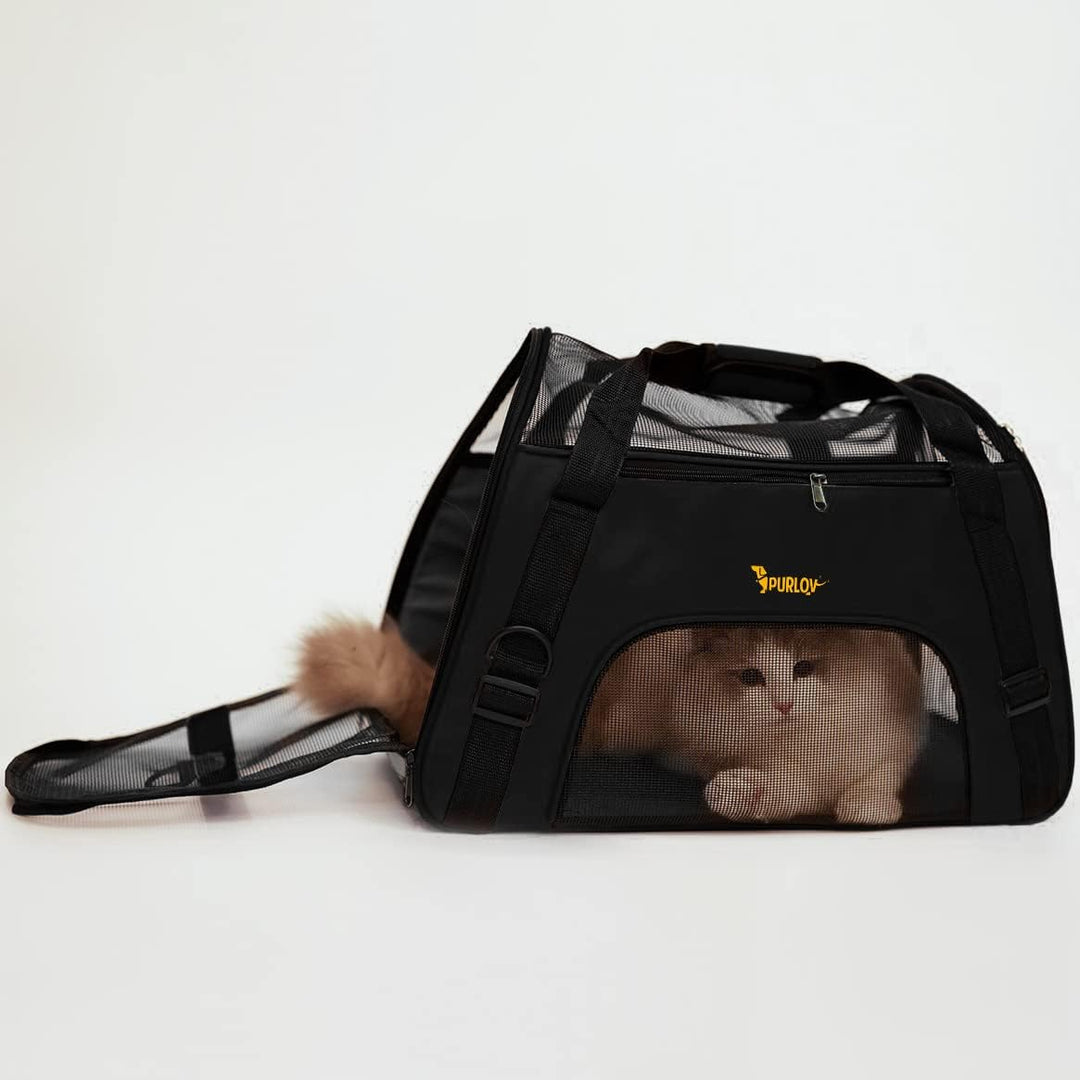 Purlov Katzenbox Hundetransporter Transporttasche faltbar Katzenbox Reisebox 20940