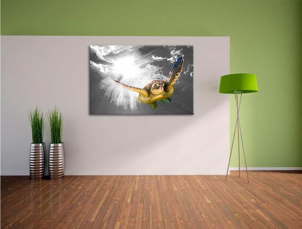 Pixxprint Grüne Meeresschildkröte als Leinwandbild | Grösse: 100x70 cm | Wandbild| Kunstdruck | fert