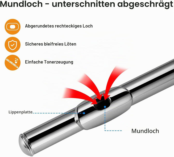 POGOLAB Flöte, C Fussstück, Geschlossenem Loch, Schülerflöte mit geteiltem E/Offset-G, Flötenetui/Fl