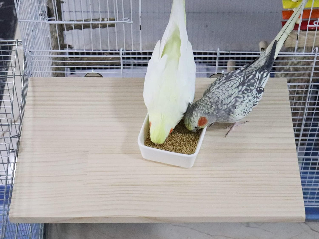 40 x 26 cm Grosse Vogelplattform aus Naturholz, Natürliche Holz Haustierkletterplattform, Kleintierk