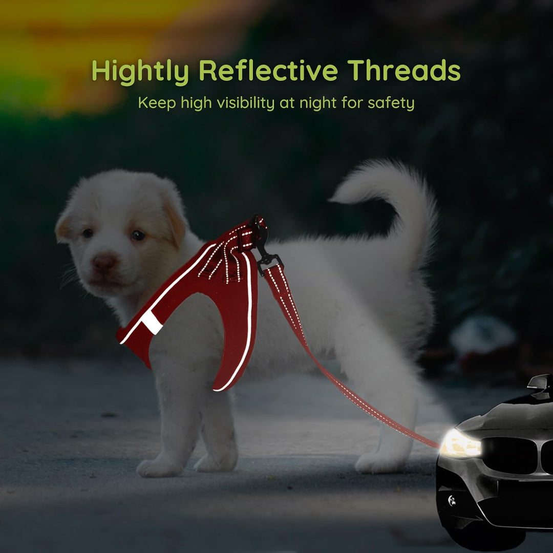 BELLA & PAL Hundegeschirr Kleine Hunde mit Leine, Step-in Geschirr aus Air Mesh, Anti Zug Reflektier