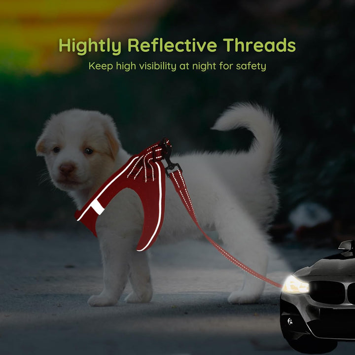 BELLA & PAL Hundegeschirr Kleine Hunde mit Leine, Step-in Geschirr aus Air Mesh, Anti Zug Reflektier