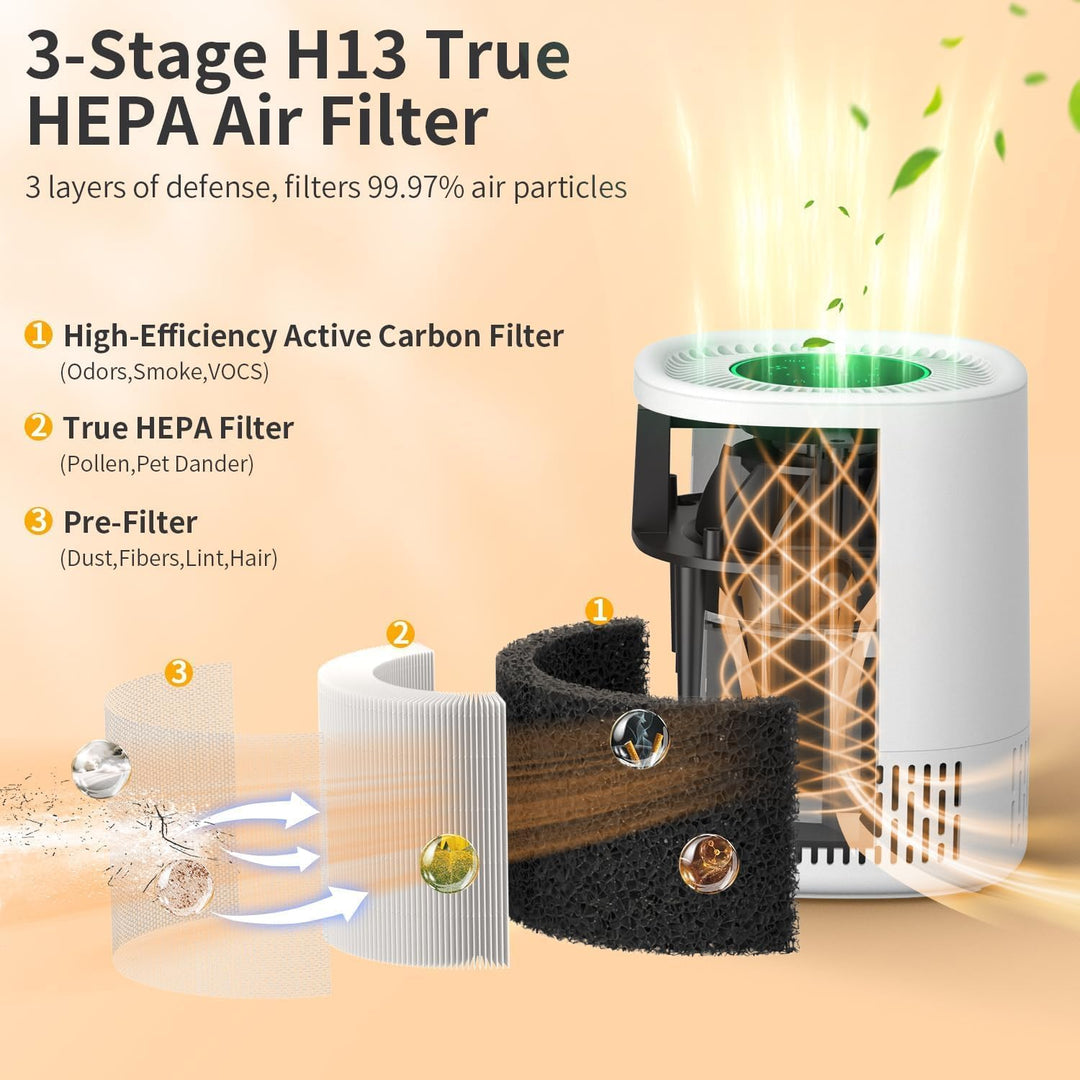 Luftreiniger Filter, Ersatzfilter für Chuboor PJ06 PJ07 PJ01A Luftreiniger, 3-in-1 Pre, H13 True HEP