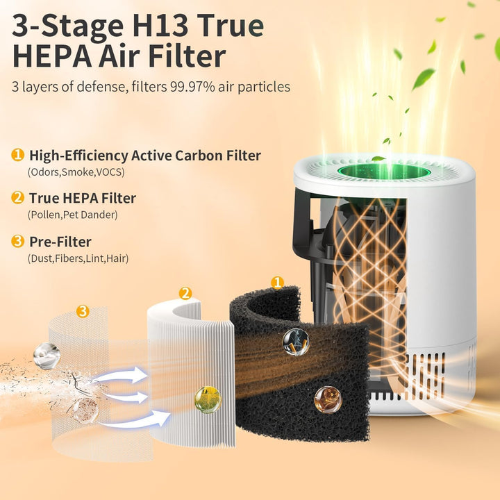 Luftreiniger Filter, Ersatzfilter für Chuboor PJ06 PJ07 PJ01A Luftreiniger, 3-in-1 Pre, H13 True HEP